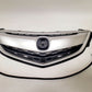 Acura TLX 15 16 17 Front Grille All Satin Silver w/ Molding + Rubber Molding